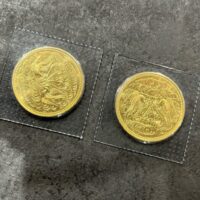 天皇御在位60年記念金貨20グラム2枚